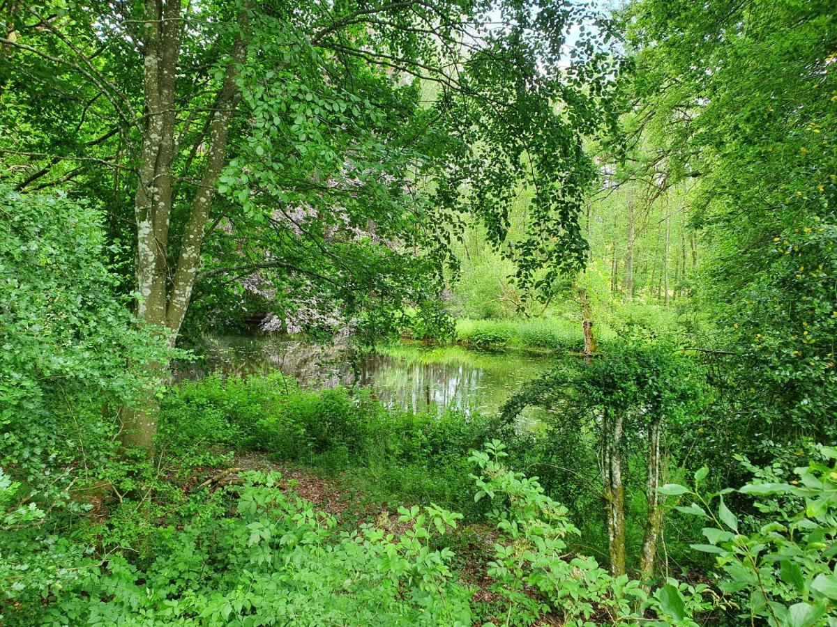 Sur La Rive Vierre Villa Suxy Eksteriør billede